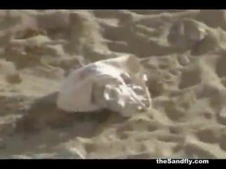 Thesandfly aficionado playa swell sexo!